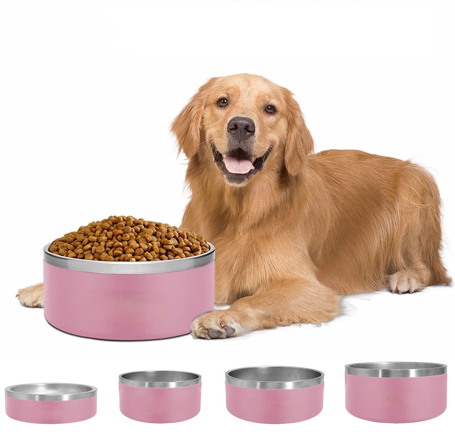 Dog Bowl